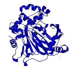 Image of CATH 5fpb