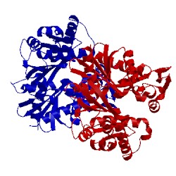 Image of CATH 5fpm