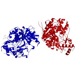 Image of CATH 5fpq
