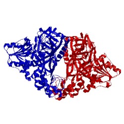 Image of CATH 5fpy
