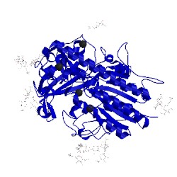 Image of CATH 5fql