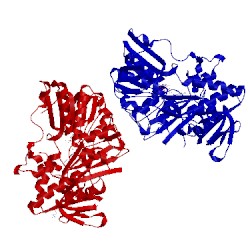 Image of CATH 5fs6