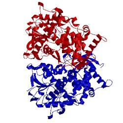 Image of CATH 5fsa