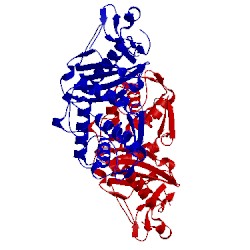 Image of CATH 5fsr
