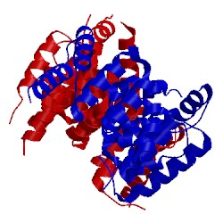 Image of CATH 5ftp