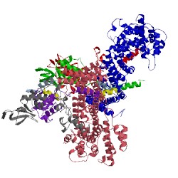 Image of CATH 5fu7