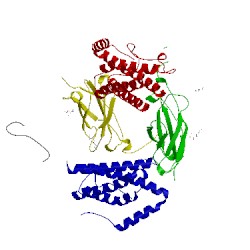 Image of CATH 5fuc
