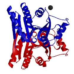 Image of CATH 5fud