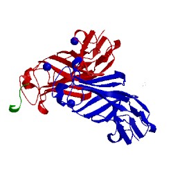 Image of CATH 5fv6