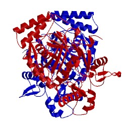 Image of CATH 5fvq