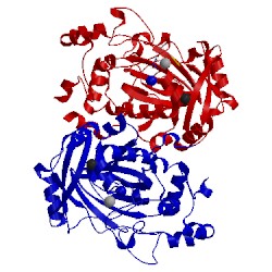 Image of CATH 5fwe