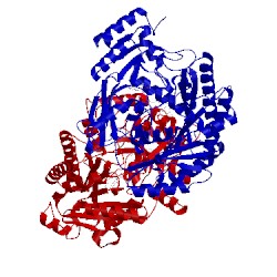 Image of CATH 5fxd