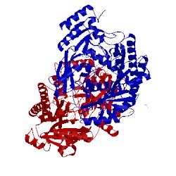 Image of CATH 5fxe
