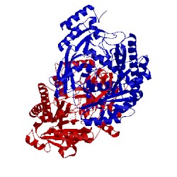 Image of CATH 5fxf