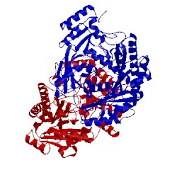 Image of CATH 5fxp