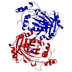 Image of CATH 5fyc