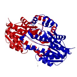 Image of CATH 5fyd