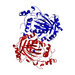 Image of CATH 5fyi