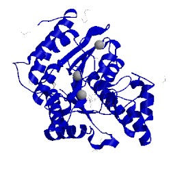 Image of CATH 5g0h