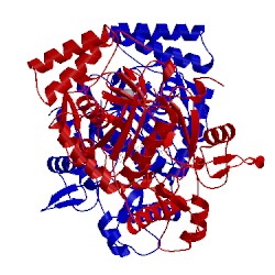 Image of CATH 5g0n