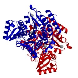 Image of CATH 5g0y