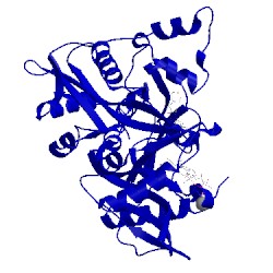 Image of CATH 5g20