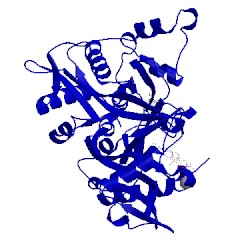 Image of CATH 5g21