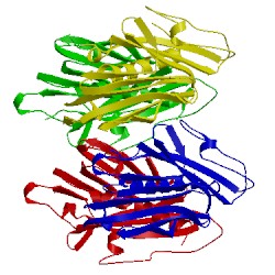 Image of CATH 5g23