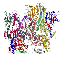 Image of CATH 5g2e