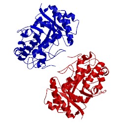 Image of CATH 5g2m