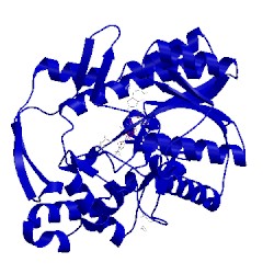 Image of CATH 5g2o