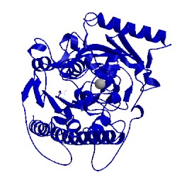 Image of CATH 5g2u