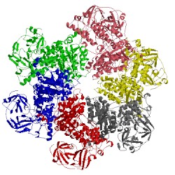 Image of CATH 5g4f