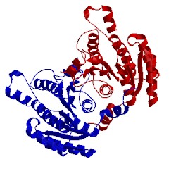 Image of CATH 5g4k
