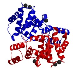 Image of CATH 5g58