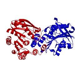 Image of CATH 5g5m