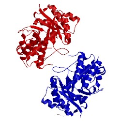 Image of CATH 5g6t