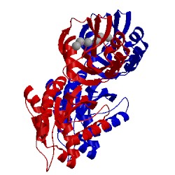 Image of CATH 5ggc