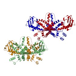 Image of CATH 5gip