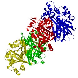 Image of CATH 5gk2