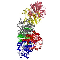 Image of CATH 5gl4