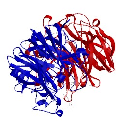 Image of CATH 5glm