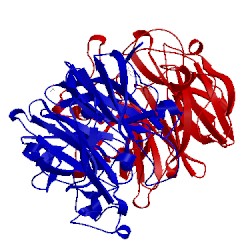 Image of CATH 5glo