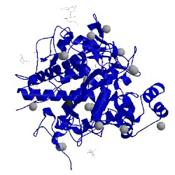 Image of CATH 5gls