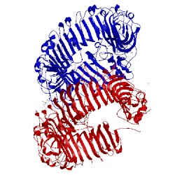 Image of CATH 5gmg