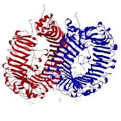 Image of CATH 5gmh