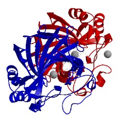 Image of CATH 5gmm