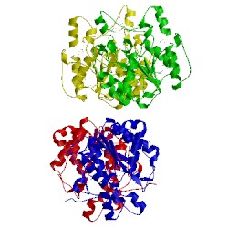 Image of CATH 5gn3