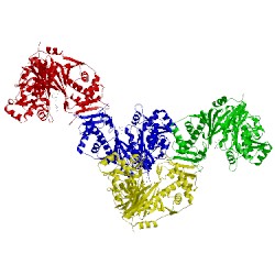 Image of CATH 5gn5