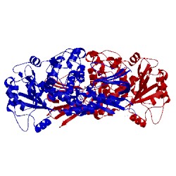 Image of CATH 5gnh